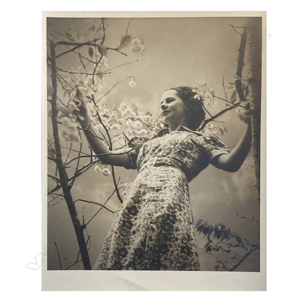 Roland Searle - collection of six photos, Image 1++